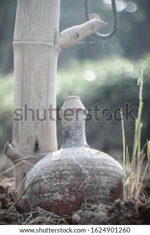 Similar – Image, Stock Photo Lantern over hedge Town