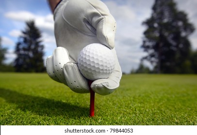 Placing Golf Ball On A Tee