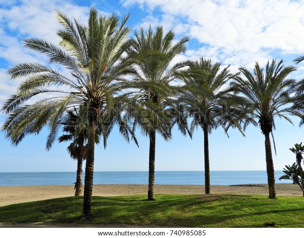 Plage De Malaga Stock Photo Edit Now 740985085