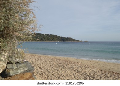 493 Plage sable Images, Stock Photos & Vectors | Shutterstock