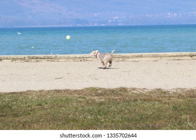 Yverdon Images Stock Photos Vectors Shutterstock