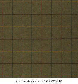 Plaid Tweed Fabric Texture In Green