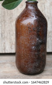 plain brown glass 1980s beer bottle retrieved from a stagnant creek bed 