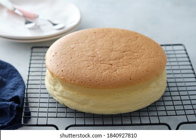 Plain classic Taiwanese traditional sponge cake. Taiwanese castella cake on a grey background table with ingredients, close up.