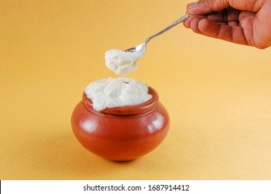 Plain Curd Or Yogurt Or Dahi With Spoon