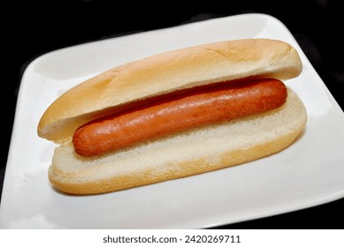 Plain Hotdog on a White Plate