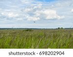 Plain landscape with eagle over it against cloudy sky background
