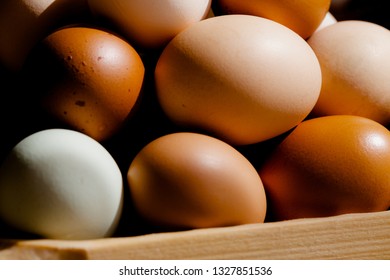 Plain multicoloured free range eggs in natural daylight on woode plate. Close up composition