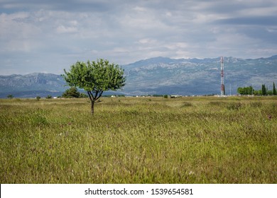 Plain Near Podgorica International Airport In Montenegro