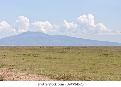 Plain savanna landscape with animals grazing on grass meadow against mountain and cloudy sky background. Serengeti National Park, Tanzania, Africa.
