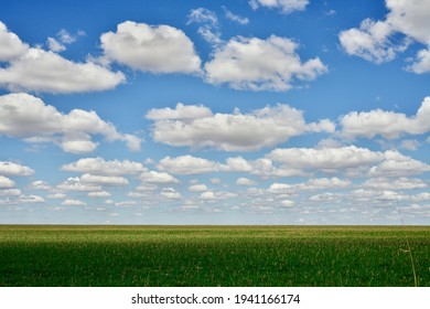 Plain And Sky With Grass And Clouds