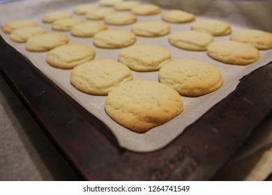 Plain Sugar Cookies Cooling On Tray