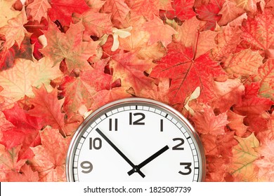 Plain Wall Clock In The Center Of Autumn Orange Red Leaves And Fall Foliage. Two O'clock. Copy Space, Time Management Or Back To School. Lunch Time. Opening Or Closing Hours. Daylight Saving Time