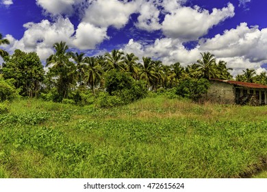 Plamtation Bakkie In Surinam