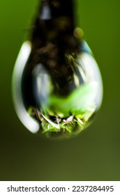 plan inside the reflection water