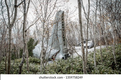 Plane Crash With The Forest 