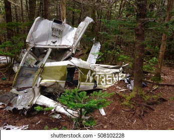 Plane Crash In The Woods