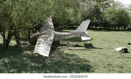 plane crashed in the forest
