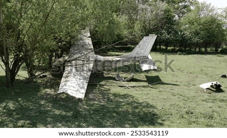 plane crashed in the forest