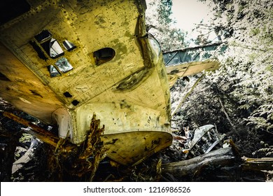 Plane Crush, Tofino, BC, Canada