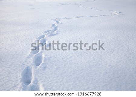 A plane flat field covered with deep snow and one person footprints in it