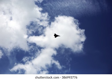 plane fly in the sky