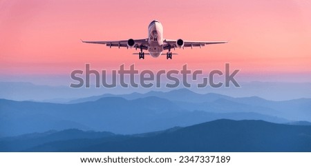 Plane is flying in pink sky at sunset. Landscape with passenger airplane over mountains ranges in fog, red sky at twilight. Aircraft is landing. Business. Aerial view. Transport. Private Jet