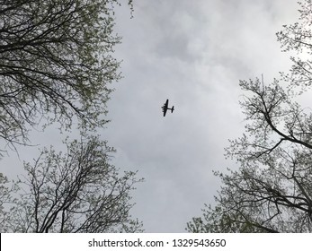 Plane flying through trees