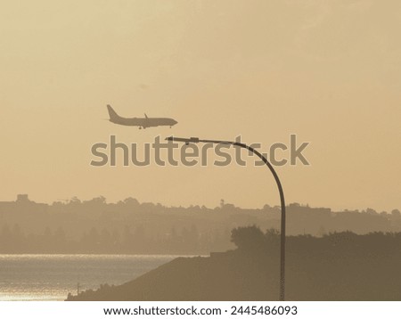 a plane in a selective focus during sunset 