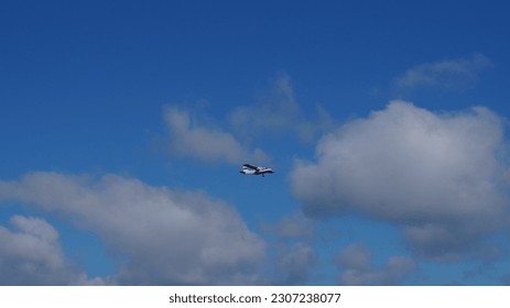 A plane in the sky