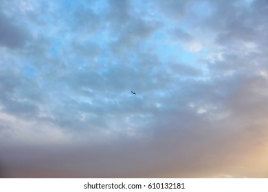 the plane in the sky