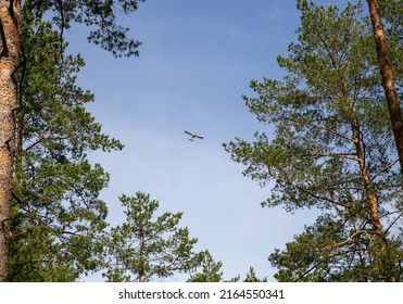 Plane in the sky (forest)