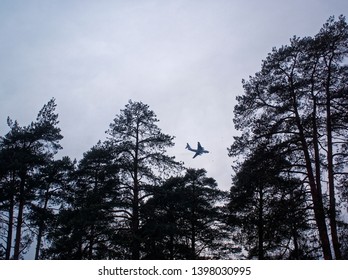 plane through the trees on a cloudy day , Moscow