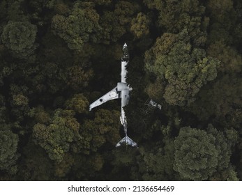 Plane wreck in the middle of the jungle.