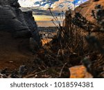 Planet of the apes abstraction