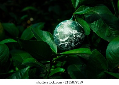 Planet Earth Hanging From A Tree Branch Surrounded By Leaves. Green And Ecological Concept For Global Warming Awareness. Biology Abstract Idea.