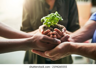 Planet, earth and with teamwork our nature environment, green energy and sustainability in a clean community. Global, natural growth and be eco friendly together and reduce carbon footprint to plant - Shutterstock ID 2194265555