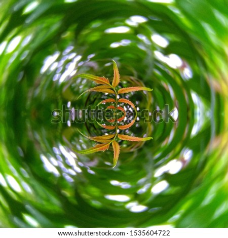 Planetoid Edit With Green Leaf