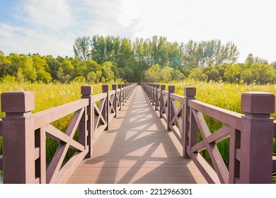 The Plank Road In Park