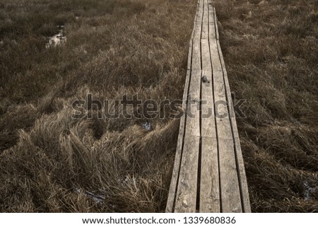 Similar – Image, Stock Photo Little girl jumping on a path of wooden boards in a wetland