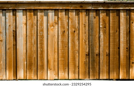 Planks, logs, a drawing of a tree. Background for design and presentations.