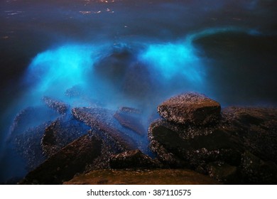 Plankton Bloom In Thailand