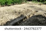 Planning the basic excavation of the foundation of the back of the house or kitchen