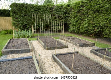 Planning And Making A New Vegetable Garden With Raised Beds