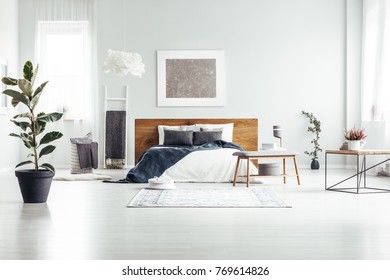 Plant in black pot in spacious white bedroom interior with bed with wooden bedhead against a wall with silver painting - Powered by Shutterstock