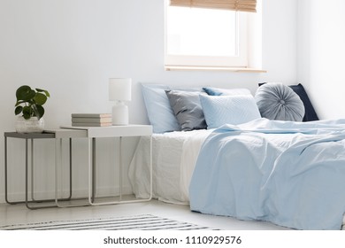 Plant, Books And Lamp Standing On White And Gray Nightstands In Bright And Cozy Bedroom Interior With Decorative Pillows On Bed With Blue Bedding. Real Photo