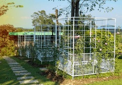 Plant Cage, Tree Enclosure, Plant Fence, Plant Fence As A Garden Decoration It Is A Square Steel Net.soft And Selective Focus.