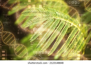 Plant And Environment Research, DNA, Biology Laboratory Nature And Science,