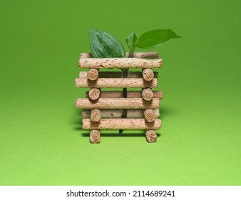 Plant And Fertilizer Sticks. Plant Fertilization. Indoor Plant Care. Closeup Of Mineral Fertilizers