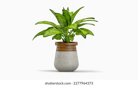 Plant in flower pot on marble table, on white background - Shutterstock ID 2277964373